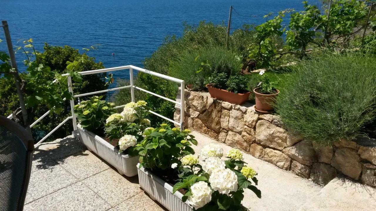 Sunset Apartments Slano Εξωτερικό φωτογραφία